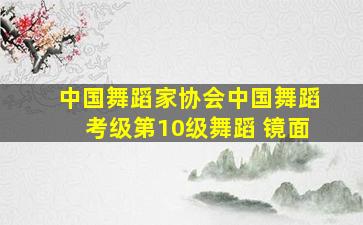 中国舞蹈家协会中国舞蹈考级第10级舞蹈 镜面